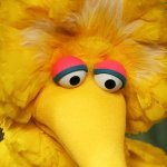 Big Bird