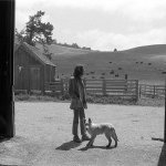 Neil Young & The Shocking Pinks