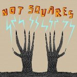 Not Squares - Release The Bees