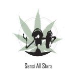 Sensi Allstars - Decade Of Jungle