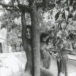 The Slits - Newtown