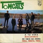 Tomcats - Rockabilly Boogie