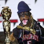 Triumph The Insult Comic Dog